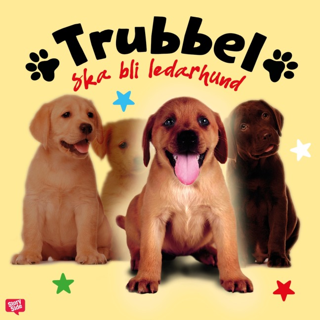 Trubbel ska bli ledarhund - Anna Bergholtz