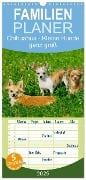 Familienplaner 2025 - Chihuahua - Kleine Hunde ganz groß mit 5 Spalten (Wandkalender, 21 x 45 cm) CALVENDO - Sigrid Starick