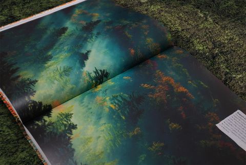 InsideView 10
