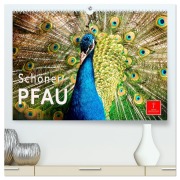 Schöner Pfau (hochwertiger Premium Wandkalender 2026 DIN A2 quer), Kunstdruck in Hochglanz - Peter Roder