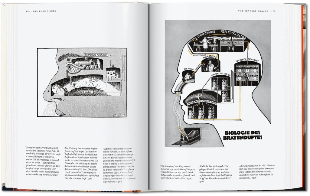 InsideView 4