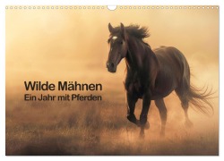 Cover-Bild zum Titel 'Wilde Mähnen: Ein Jahr mit Pferden (Wandkalender 2026 DIN A3 quer), CALVENDO Monatskalender' von 'Peter R. Stuhlmann'