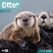 Cover-Bild zum Titel 'Otter Kalender 2027 - 30x30 - Art12' von 'Ackermann Kunstverlag GmbH'
