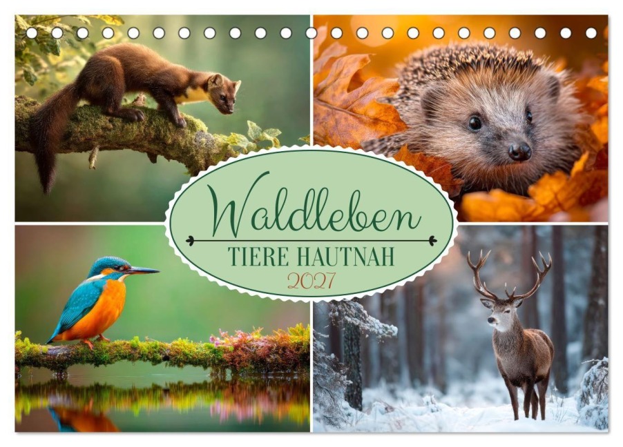 Waldleben - Tiere hautnah (Tischkalender 2027 DIN A5 quer), CALVENDO Monatskalender - Melanie Viola