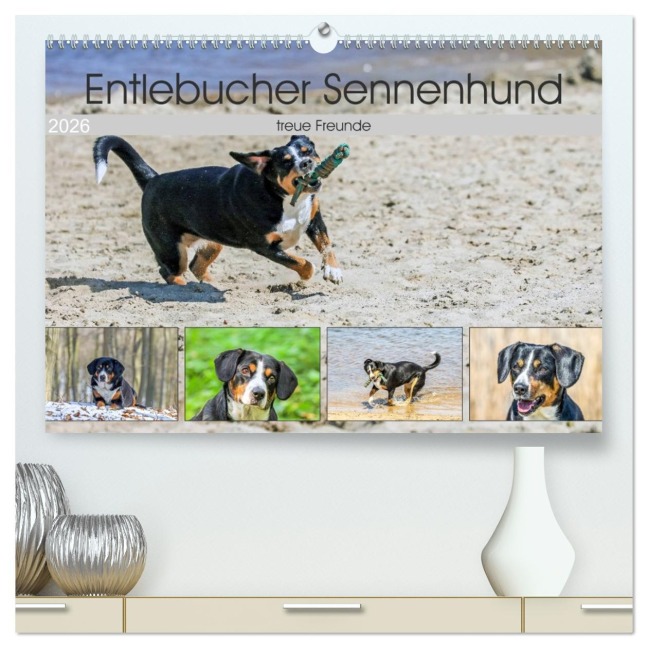 Entlebucher Sennenhund - treue Freunde (hochwertiger Premium Wandkalender 2026 DIN A2 quer), Kunstdruck in Hochglanz - SchnelleWelten SchnelleWelten