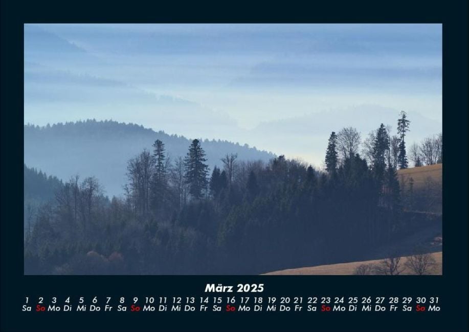 InsideView 7