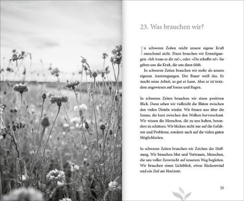 InsideView 12