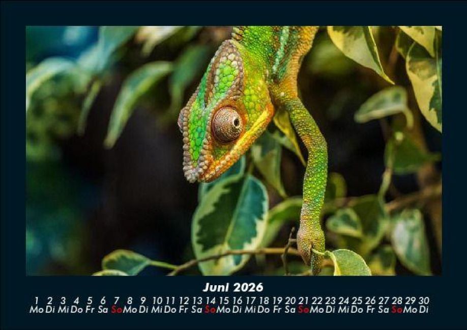 InsideView 10