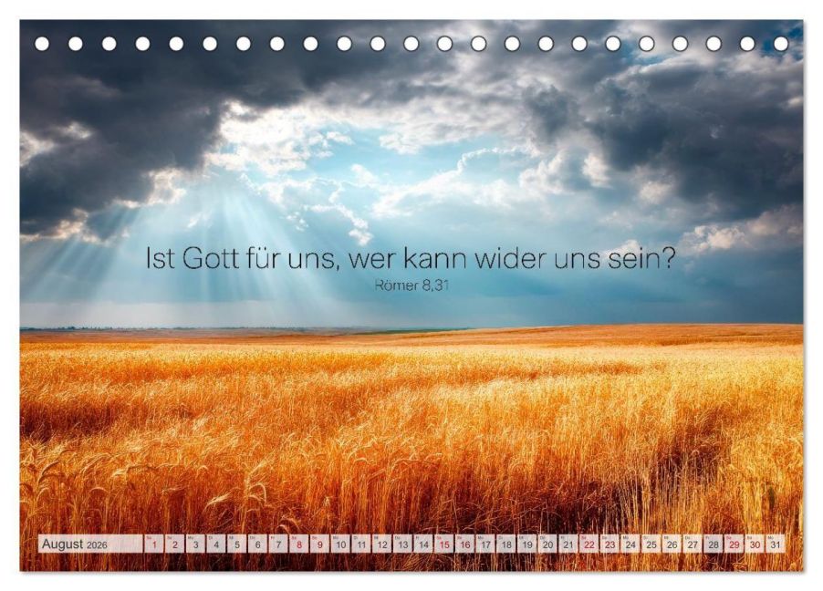 InsideView 13