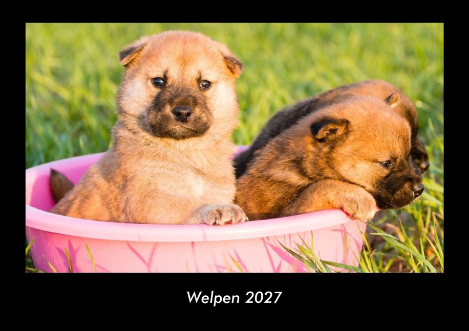 Welpen 2027 Fotokalender DIN A3 - Tobias Becker
