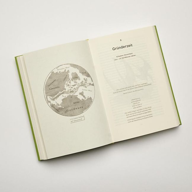InsideView 6