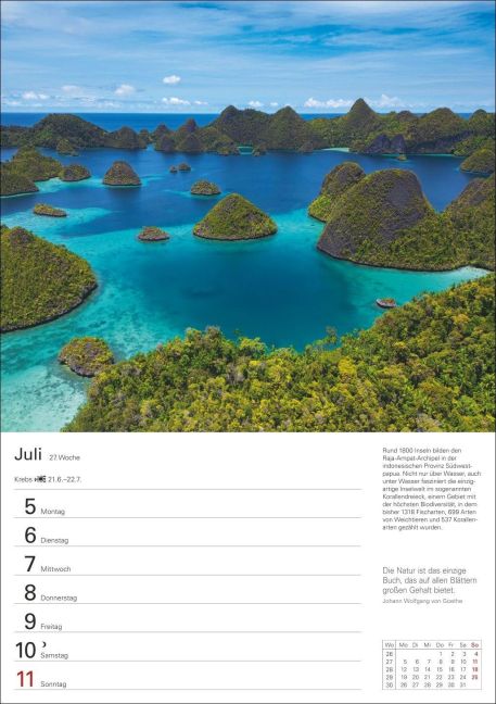 InsideView 8
