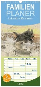 Familienplaner 2024 - Labrador Retriever 2024 mit 5 Spalten (Wandkalender, 21 x 45 cm) CALVENDO - Andrea Redecker