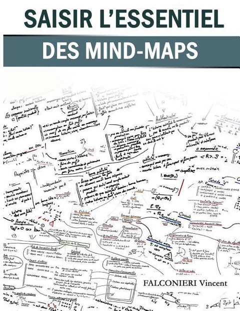 Saisir l'essentiel des Mind-Maps: Efficacité et enseignement - Vincent Falconieri
