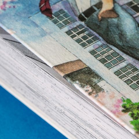 InsideView 3