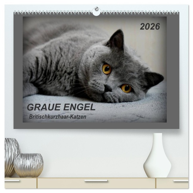 GRAUE ENGEL Britischkurzhaar-Katzen (hochwertiger Premium Wandkalender 2026 DIN A2 quer), Kunstdruck in Hochglanz - Jacky-Fotos Jacky-Fotos