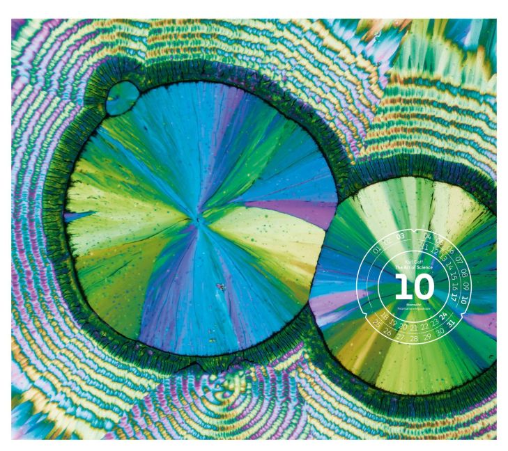 InsideView 10