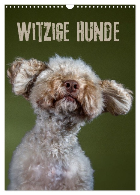 Witzige Hunde (Wandkalender 2025 DIN A3 hoch), CALVENDO Monatskalender - Birte Zabel