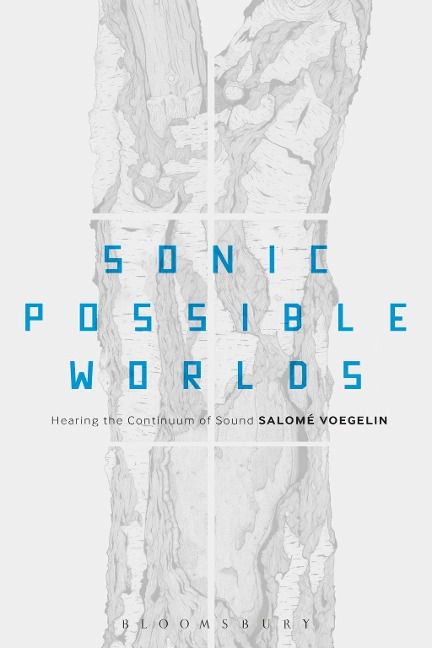 Sonic Possible Worlds - Salomé Voegelin