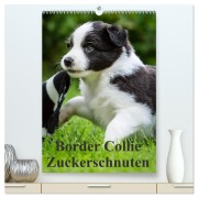 Cover-Bild zum Titel 'Border Collie Zuckerschnuten (hochwertiger Premium Wandkalender 2026 DIN A2 hoch), Kunstdruck in Hochglanz' von 'Andrea Mayer'