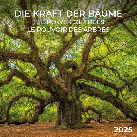 Die Kraft der Bäume 2025 - 