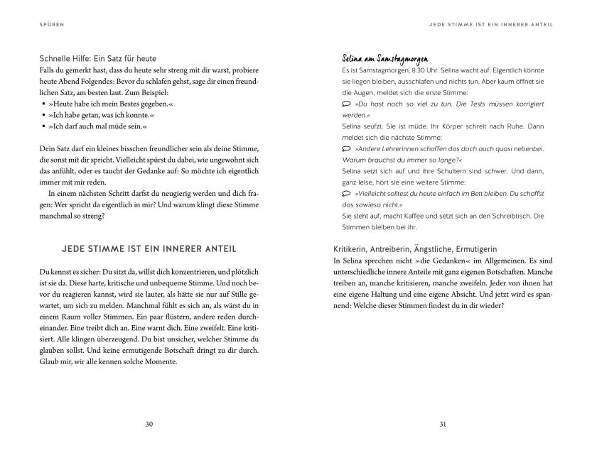 InsideView 5