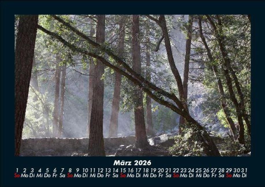 InsideView 7