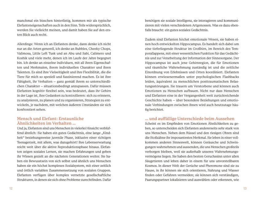 InsideView 12