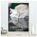 Zauberhafte Katzen - Familienplaner (hochwertiger Premium Wandkalender 2024 DIN A2 hoch), Kunstdruck in Hochglanz - Melanie Viola