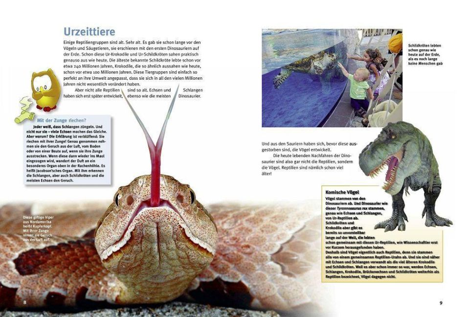 InsideView 3