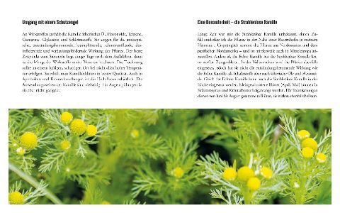 InsideView 7