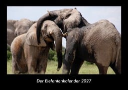 Cover-Bild zum Titel 'Der Elefantenkalender 2027 Fotokalender DIN A3' von 'Tobias Becker'