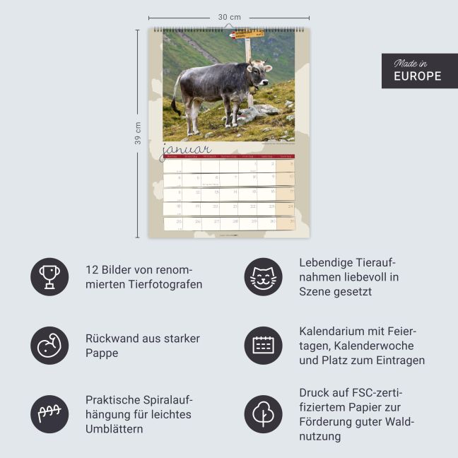 InsideView 13