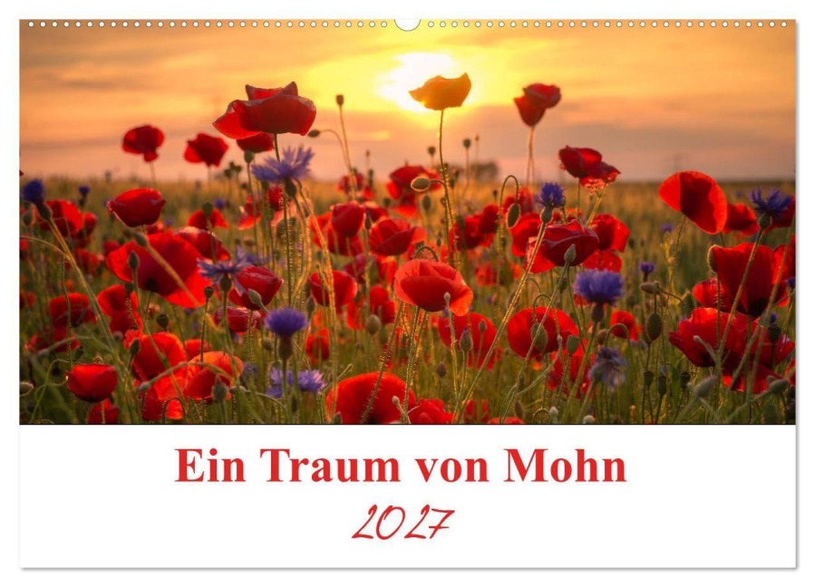 Ein Traum von Mohn (Wandkalender 2027 DIN A2 quer), CALVENDO Monatskalender - Gierok, Steffen Magic Artist Design
