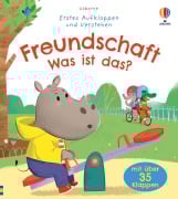 Erstes Aufklappen und Verstehen: Freundschaft - Was ist das? - Ashe de Sousa