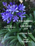 Cover-Bild zum Titel 'The Buddha of Limitless Joy: Episode Two' von 'James Hilgendorf'