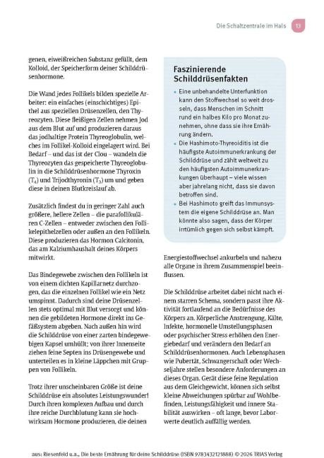 InsideView 9