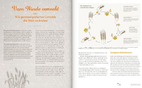InsideView 3