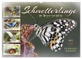 Schmetterlinge im Tropenparadies (Wandkalender 2024 DIN A2 quer), CALVENDO Monatskalender - Sabine Löwer