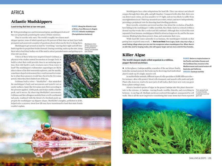 InsideView 7