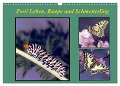 Zwei Leben, Raupe und Schmetterling (Wandkalender 2024 DIN A3 quer), CALVENDO Monatskalender - Lothar Reupert
