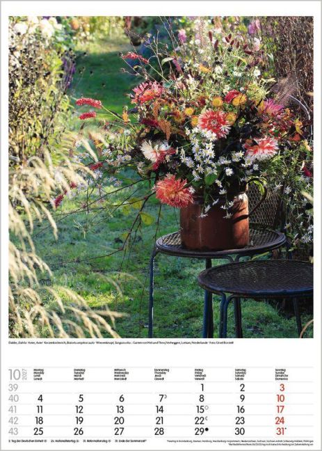 InsideView 10