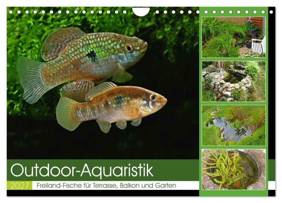 Outdoor-Aquaristik (Wandkalender 2027 DIN A4 quer), CALVENDO Monatskalender - Rudolf Pohlmann