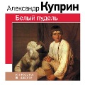Cover-Bild zum Titel 'Belyy pudel'' von 'Alexander Kuprin'