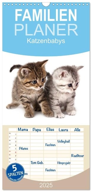 Familienplaner 2025 - Katzenbabys mit 5 Spalten (Wandkalender, 21 x 45 cm) CALVENDO - Hesch-Foto Hesch-Foto