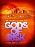 Cover-Bild zum Titel 'Gods of Risk' von 'James S. A. Corey'