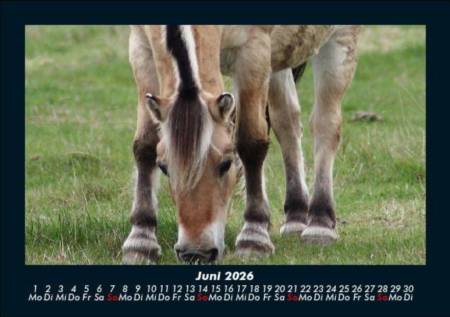 InsideView 10