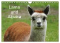Lama und Alpaka (Wandkalender 2025 DIN A4 quer), CALVENDO Monatskalender - Kattobello Kattobello