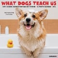 What Dogs Teach Us 2024 12 X 12 Wall Calendar - Willow Creek Press