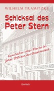 Cover-Bild zum Titel 'Schicksal des Peter Stern' von 'Wilhelm Tramitzke'